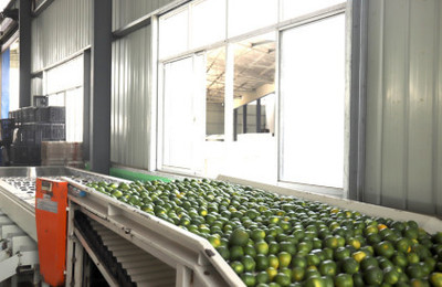 湖北農副產品的疫后突圍 從挑戰到機遇的振興之路