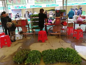 兩祁農副特產展銷會今日開幕，五十余家企業攜名優土特產齊聚一堂