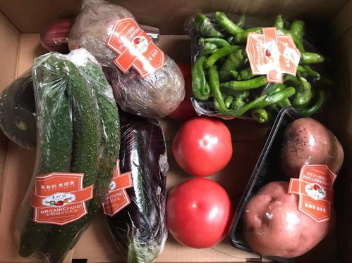 消費扶貧涇陽在行動 特色農副產品展銷會亮相西安城